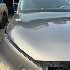 Hood/Bonnet - 2014 Infiniti QX80 SUV
