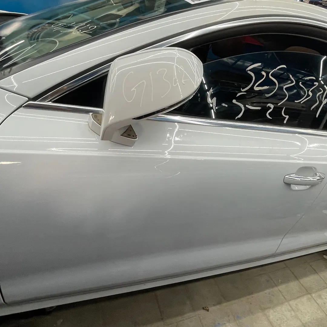 Door (LHF) - 2017 Audi A7
