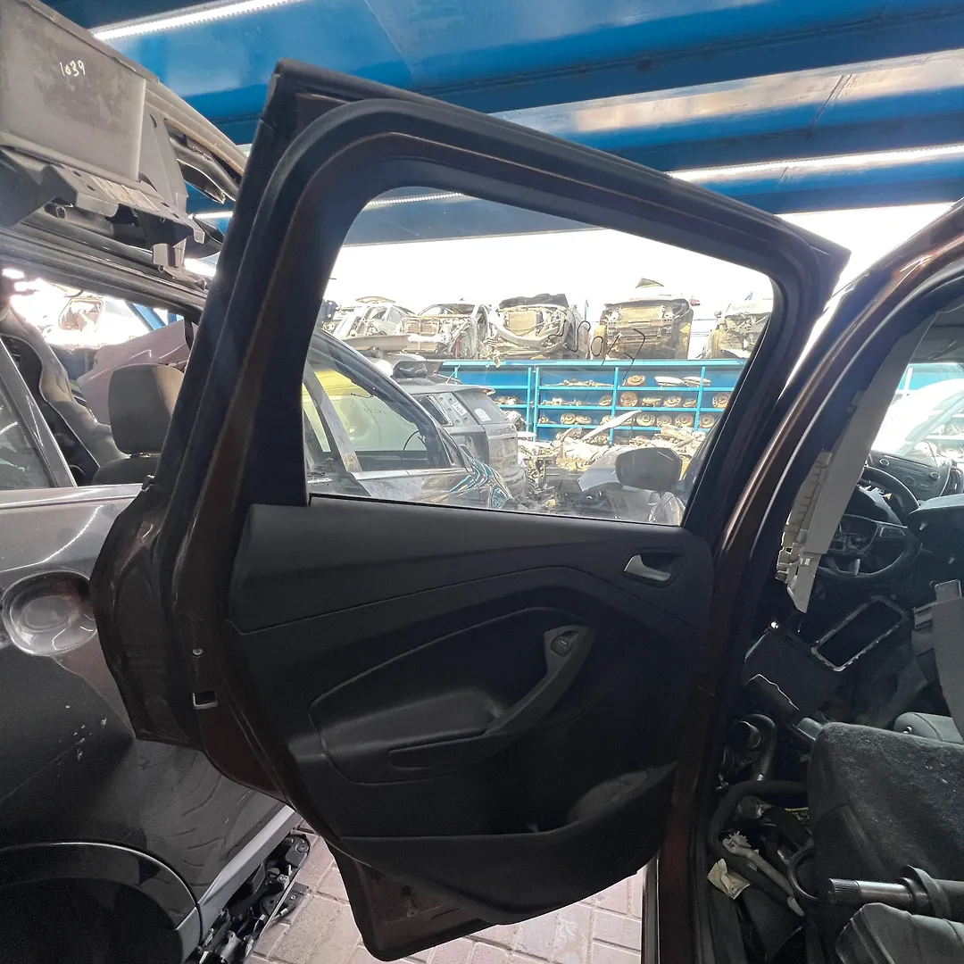 Door (LHB) - 2017 Ford Escape