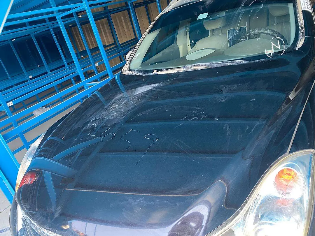 Hood/Bonnet - 2015 Infiniti QX50