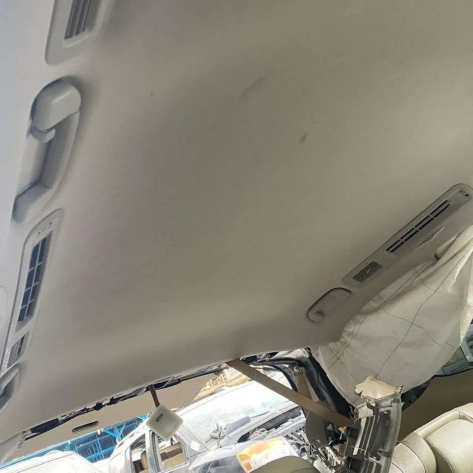 Roof Ceiling - 2012 Infiniti QX56