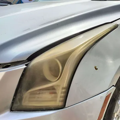 Headlight (LH) - 2014 Cadillac ATS LUXURY