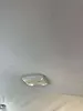 Roof Ceiling - 2010 Toyota Tundra SR5