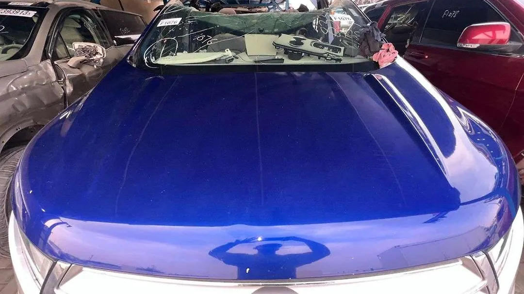Hood/Bonnet - 2015 Ford Edge