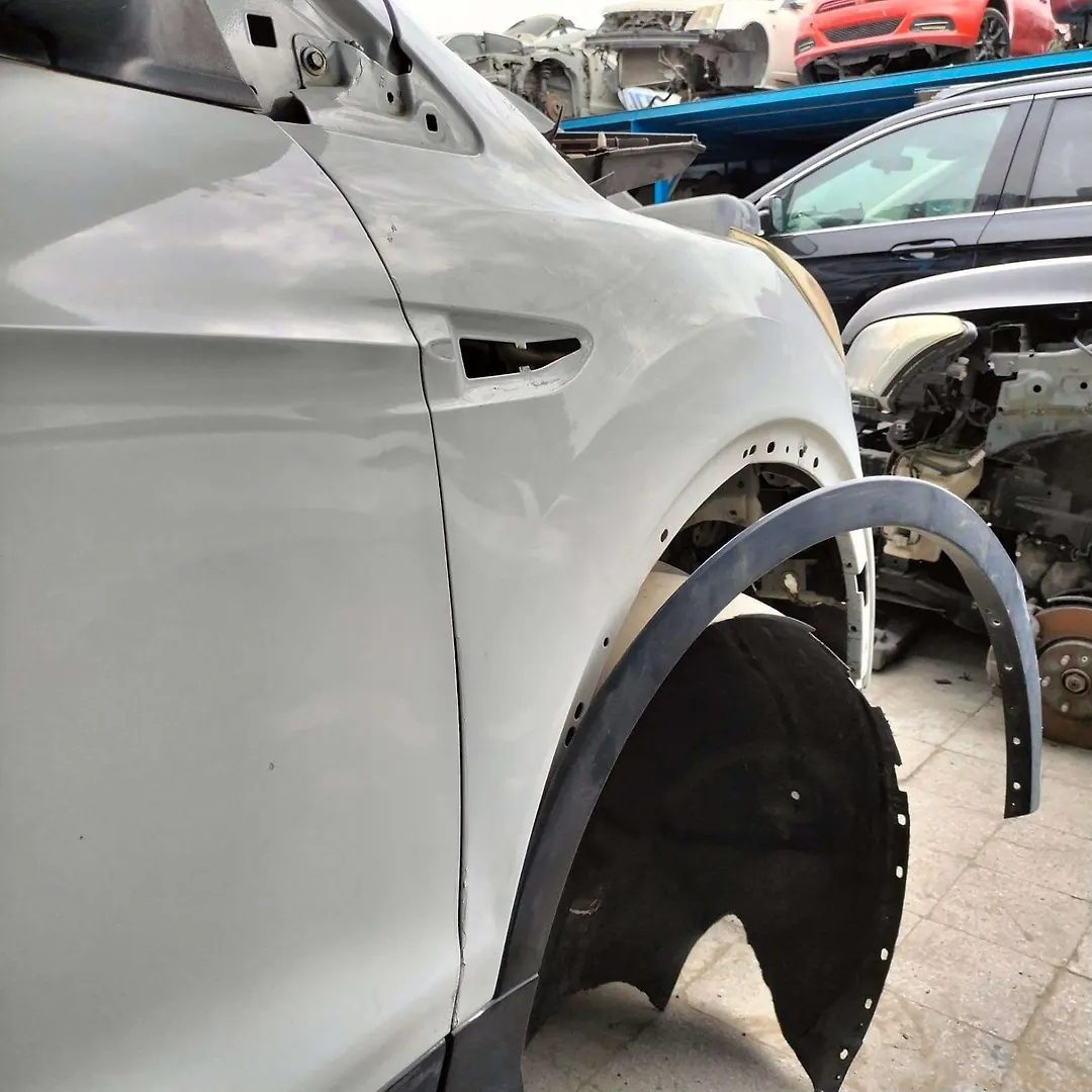 Fender (RHF) - 2017 Ford Escape