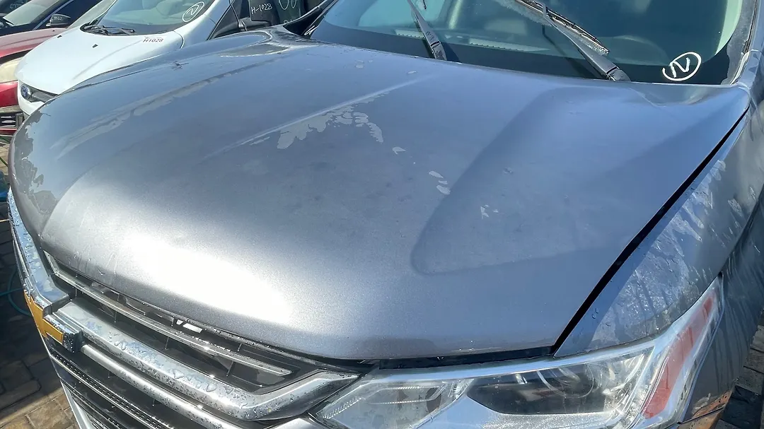 Hood/Bonnet - 2019 Chevrolet Traverse LS