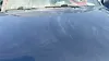 Hood/Bonnet - 2014 Toyota Tacoma Delux Grade
