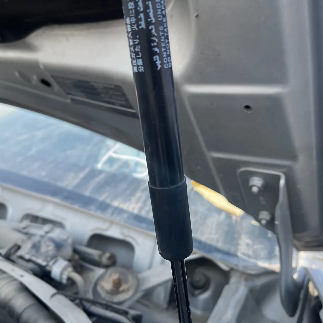 Bonnet Jumping - 2014 Infiniti QX56