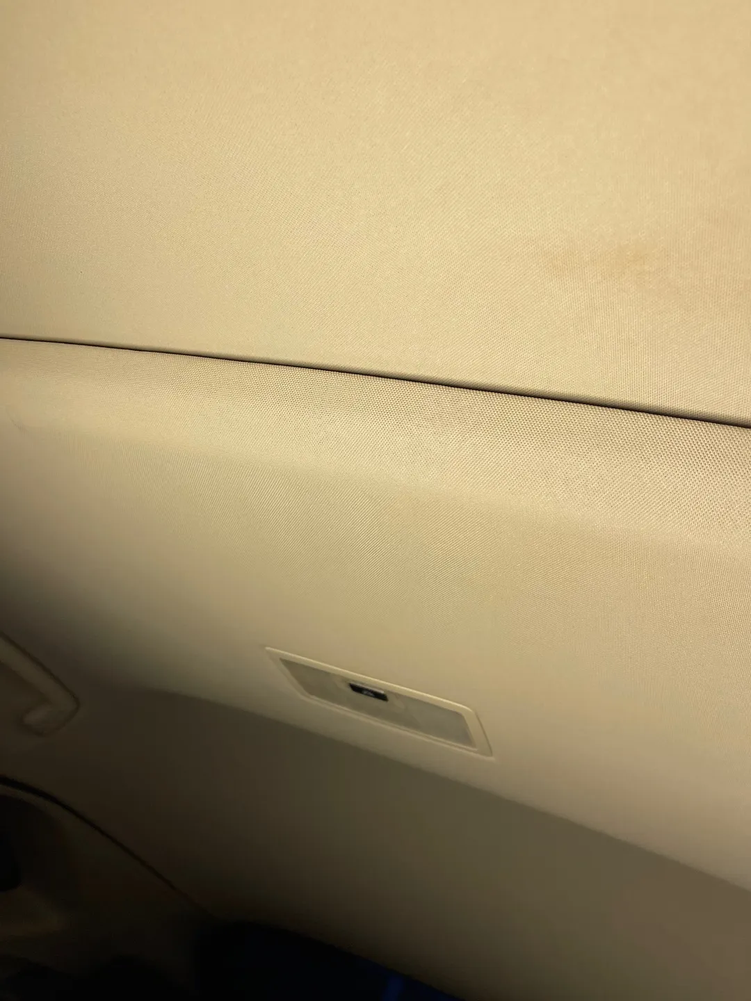 Roof Ceiling - 2022 Lexus NX300