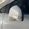 Side Mirror (LH) - 2016 Chevrolet Trax