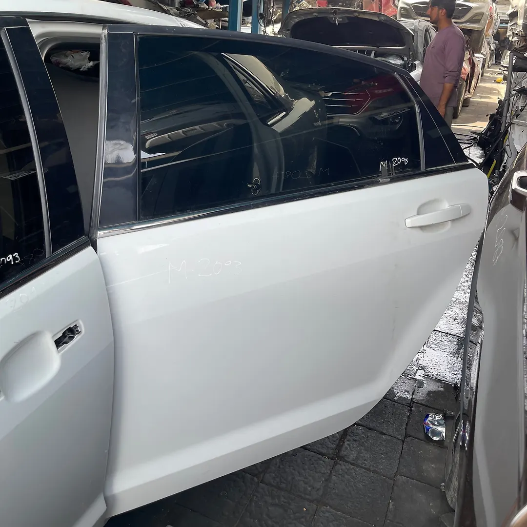 Door (LHB) - 2014 Chevrolet Caprice