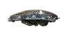 Headlight (LH) - 2016 Lincoln MKX