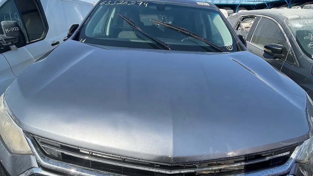 Hood/Bonnet - 2019 Chevrolet Traverse LS