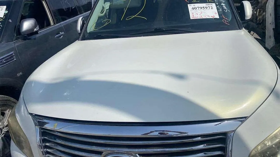 Hood/Bonnet - 2011 Infiniti QX56