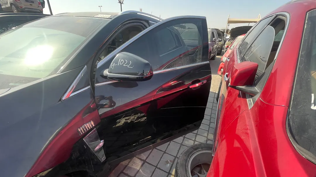 Door (LHF) - 2010 Cadillac SRX Premium