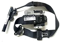 Seat belt rear - 2017 Ford Edge SEL
