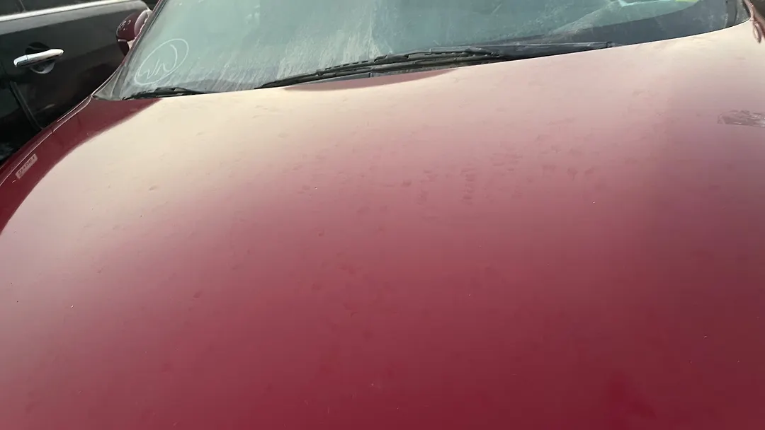 Hood/Bonnet - 2014 Nissan Pathfinder