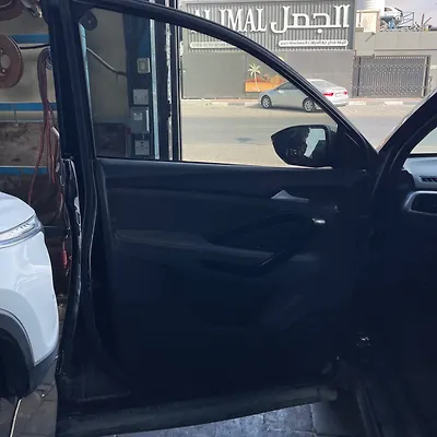 Door (LHF) - 2021 Chevrolet Captiva