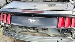 Tailgate - 2017 Ford Mustang
