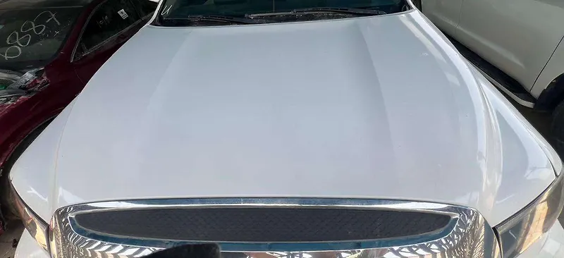 Hood/Bonnet - 2011 Toyota Sequoia