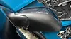 Side Mirror (LH) - 2019 Jeep Cherokee