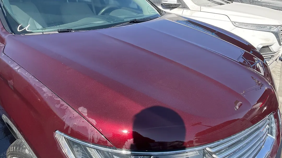 Hood/Bonnet - 2018 Lincoln MKX
