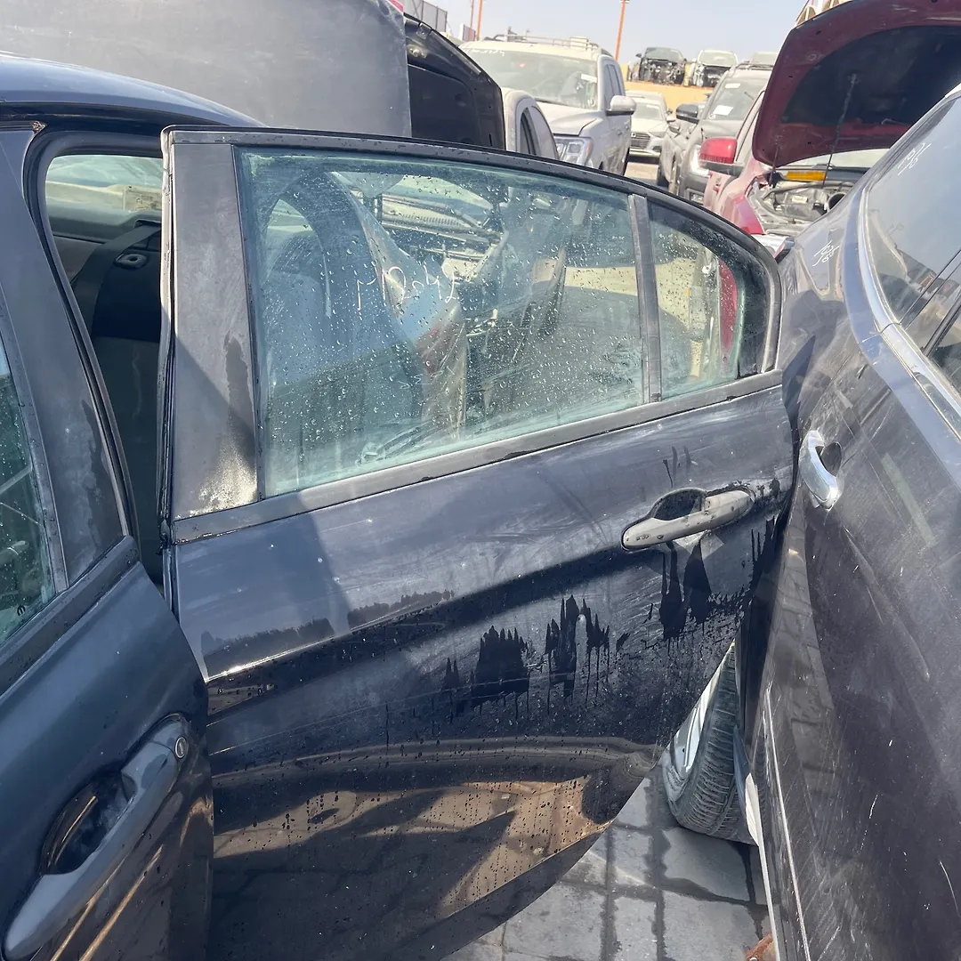 Door (LHB) - 2017 Dodge Neon
