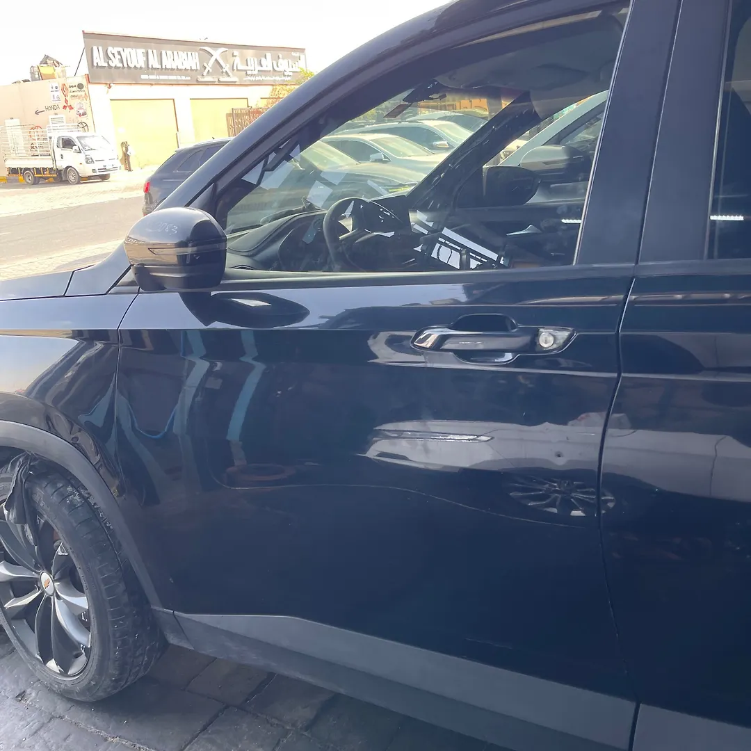 Door (LHF) - 2021 Chevrolet Captiva