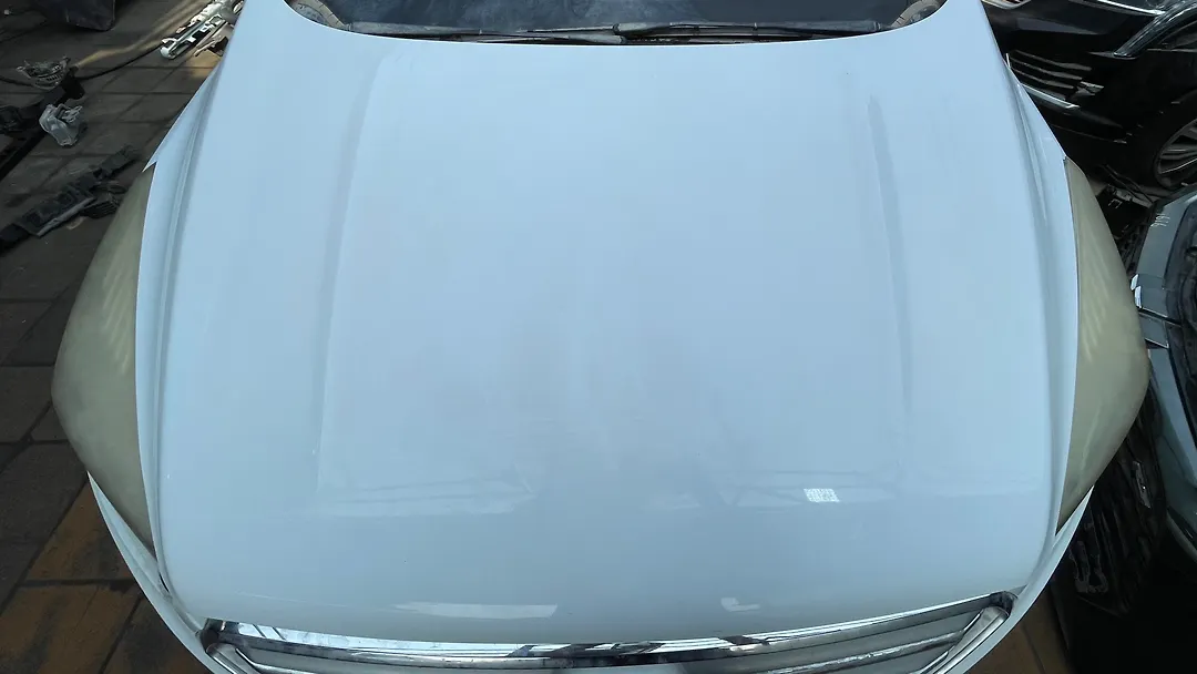 Hood/Bonnet - 2019 Ford Escape