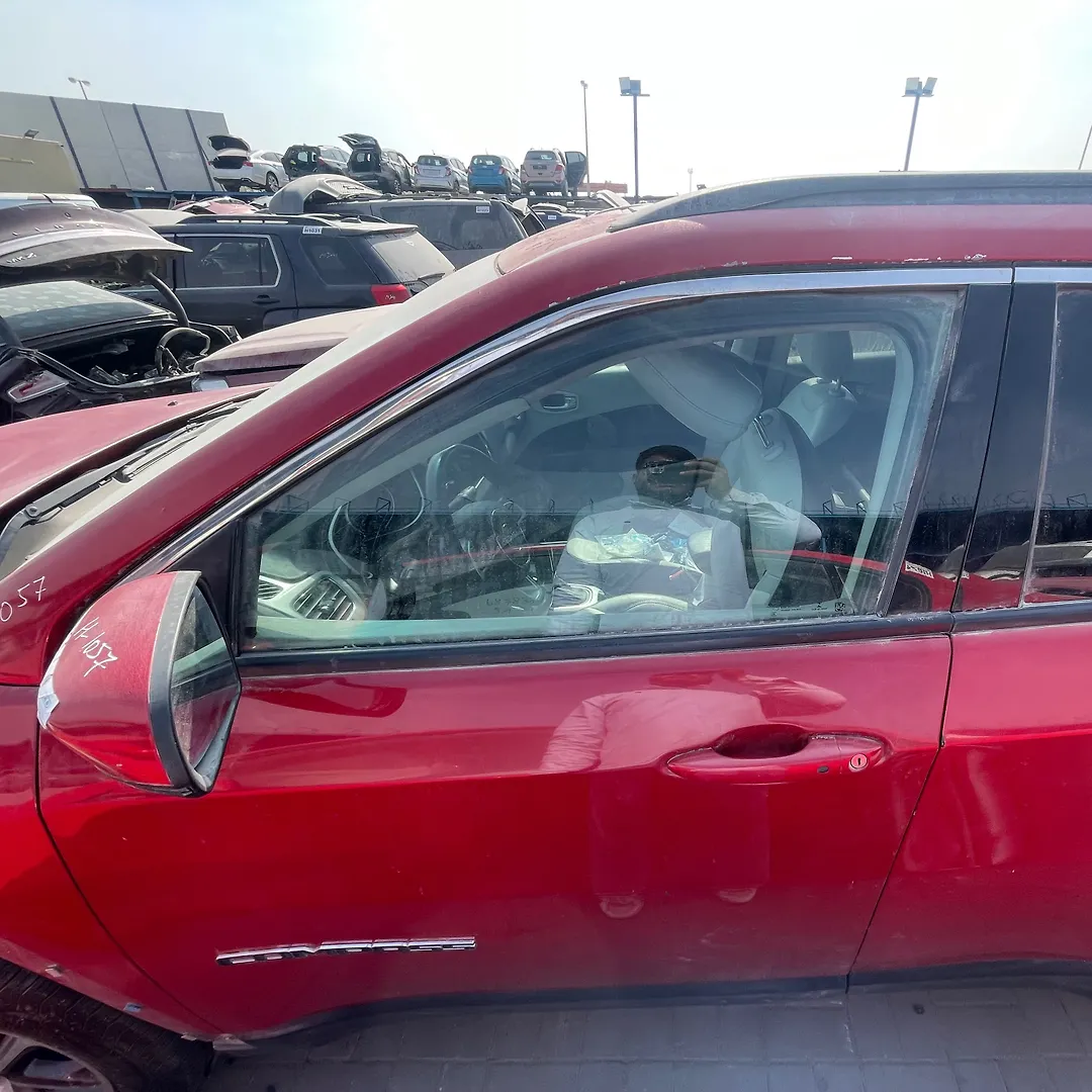 Door (LHF) - 2019 Jeep Compass 