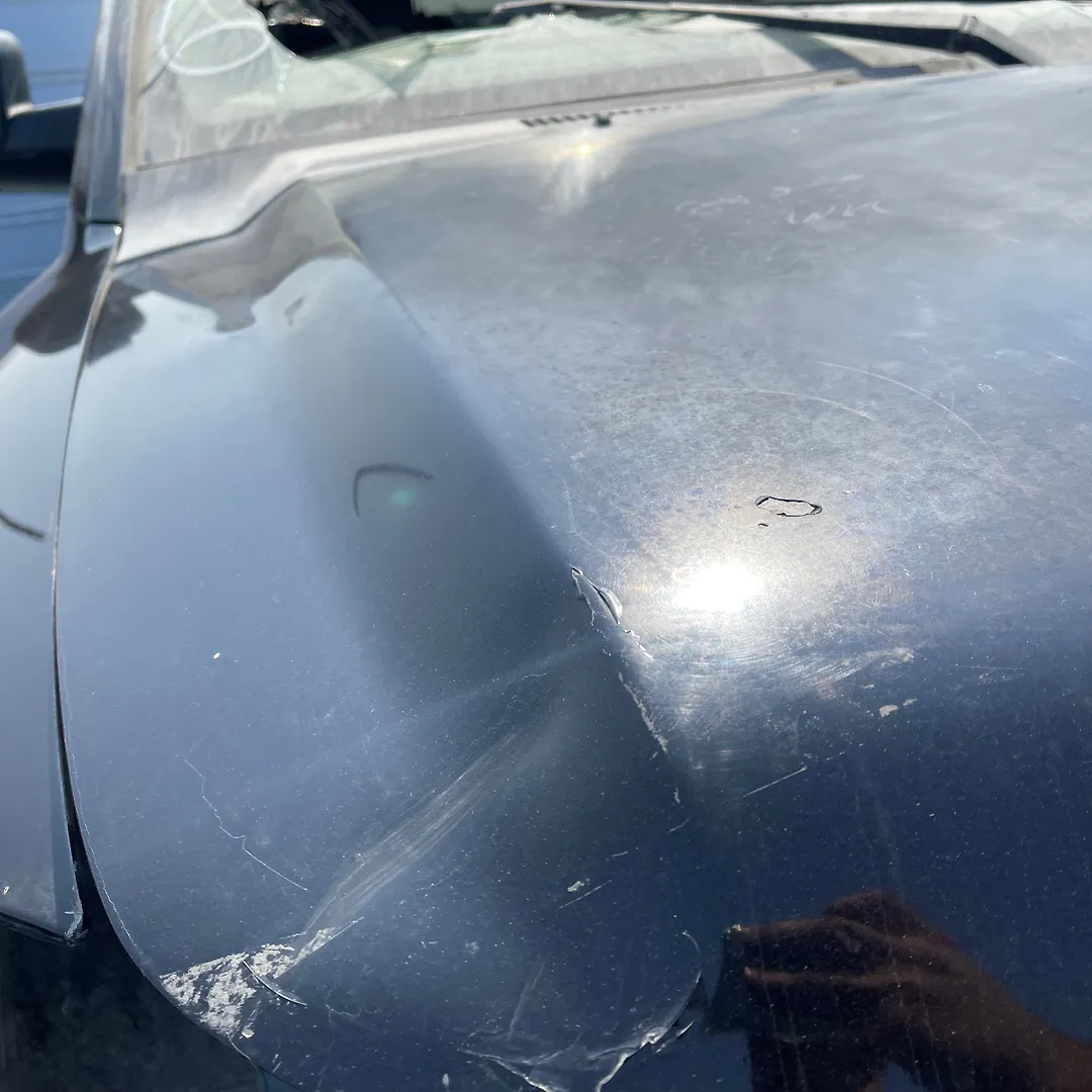 Hood/Bonnet - 2013 Nissan Armada