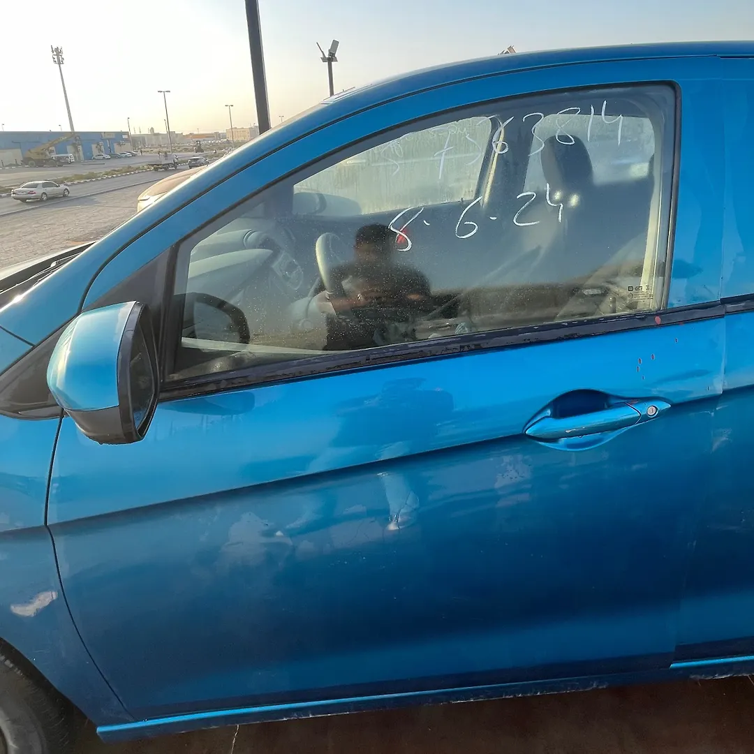 Door (LHF) - 2019 Chevrolet Spark