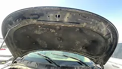 Hood/Bonnet - 2013 Ford Explorer Base