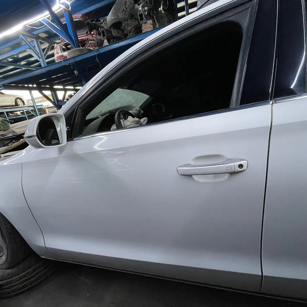 Door (LHF) - 2014 Audi A8 L