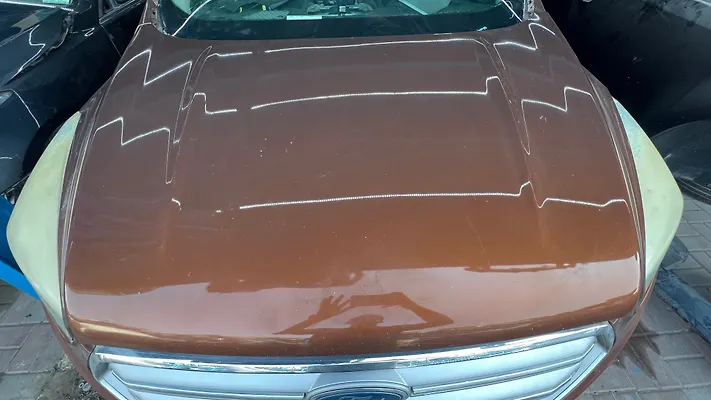 Hood/Bonnet - 2017 Ford Escape