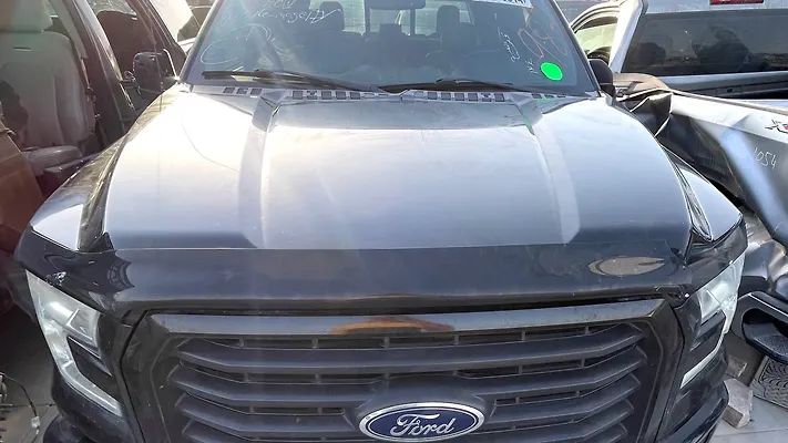 Hood/Bonnet - 2016 Ford F-150