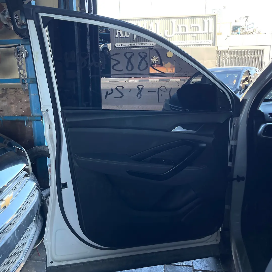 Door (LHF) - 2022 Chevrolet Captiva