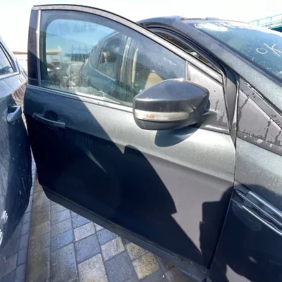Door (RHF) - 2018 Ford Escape