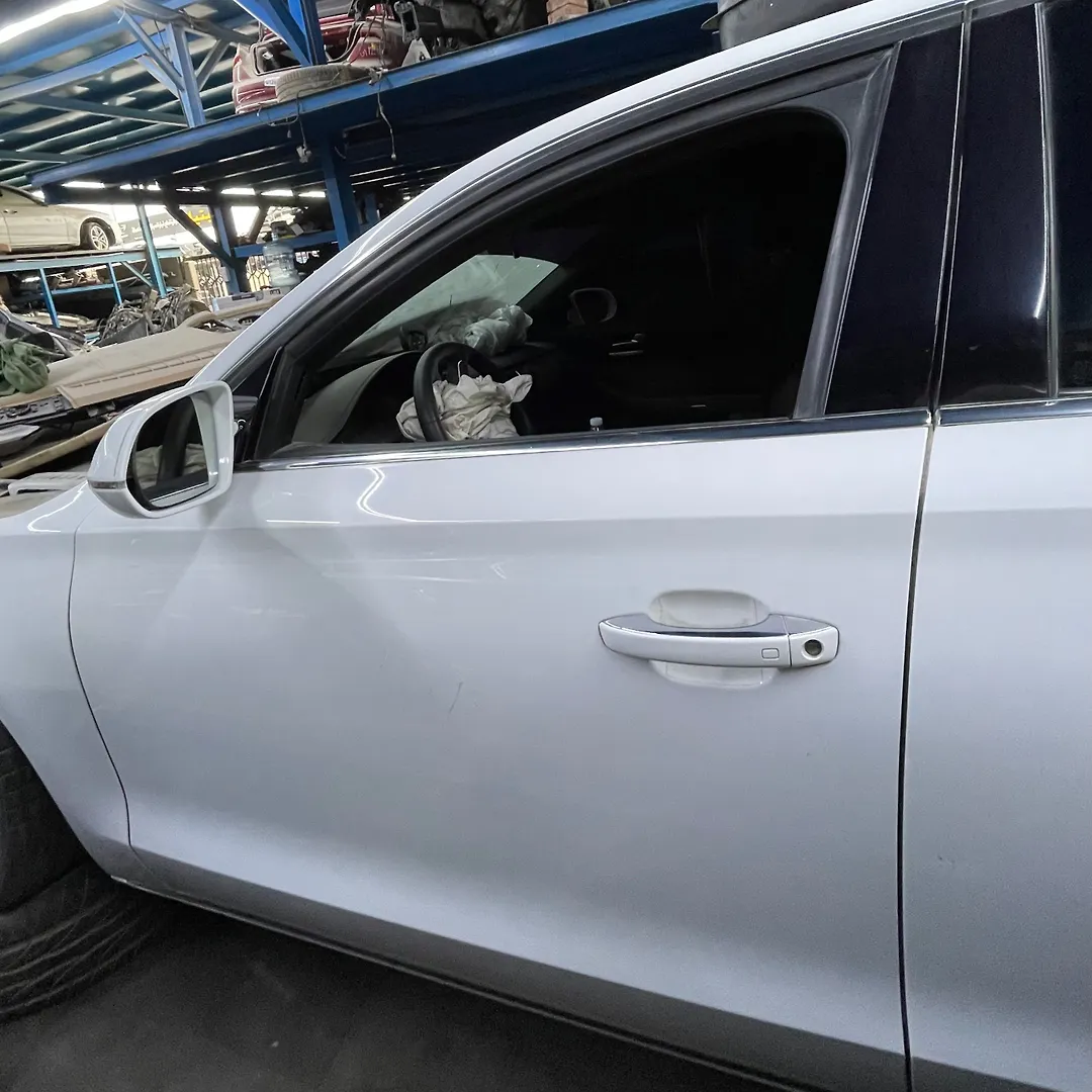 Door (LHF) - 2014 Audi A8 L