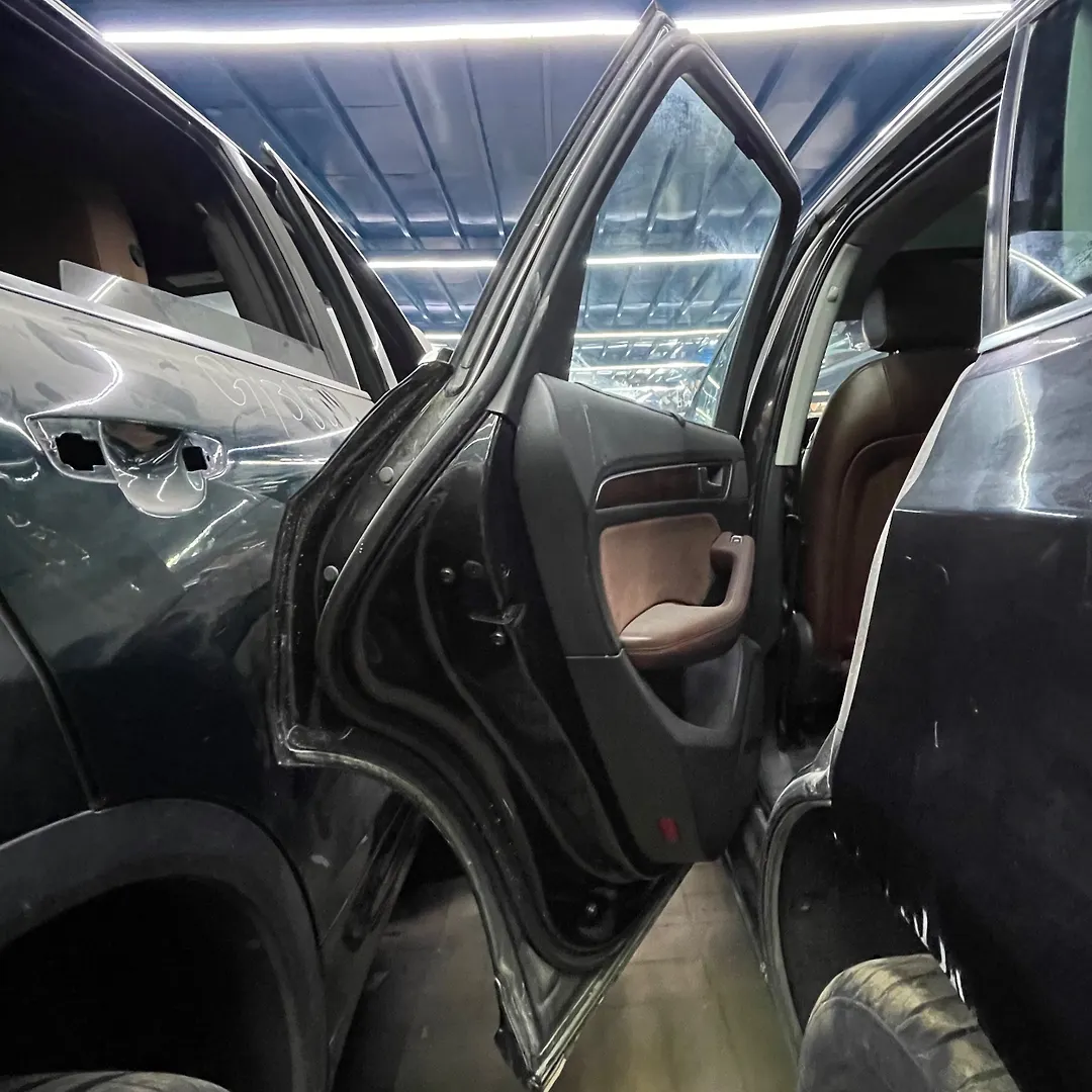 Door (LHB) - 2016 Audi Q5