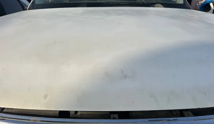 Hood/Bonnet - 2013 Infiniti QX56