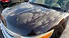 Hood/Bonnet - 2014 Ford Explorer XLT