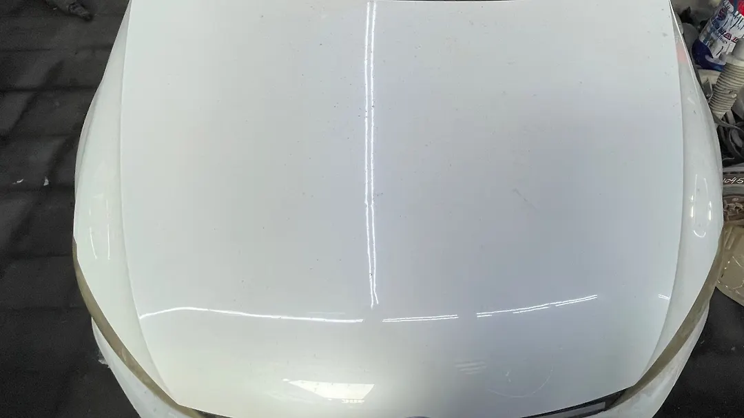 Hood/Bonnet - 2016 Volkswagen Golf R