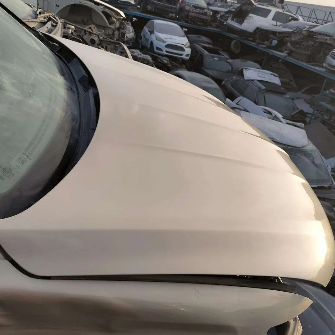Hood/Bonnet - 2016 Lincoln MKX