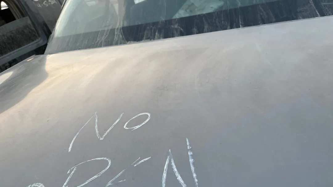 Hood/Bonnet - 2013 Infiniti QX56