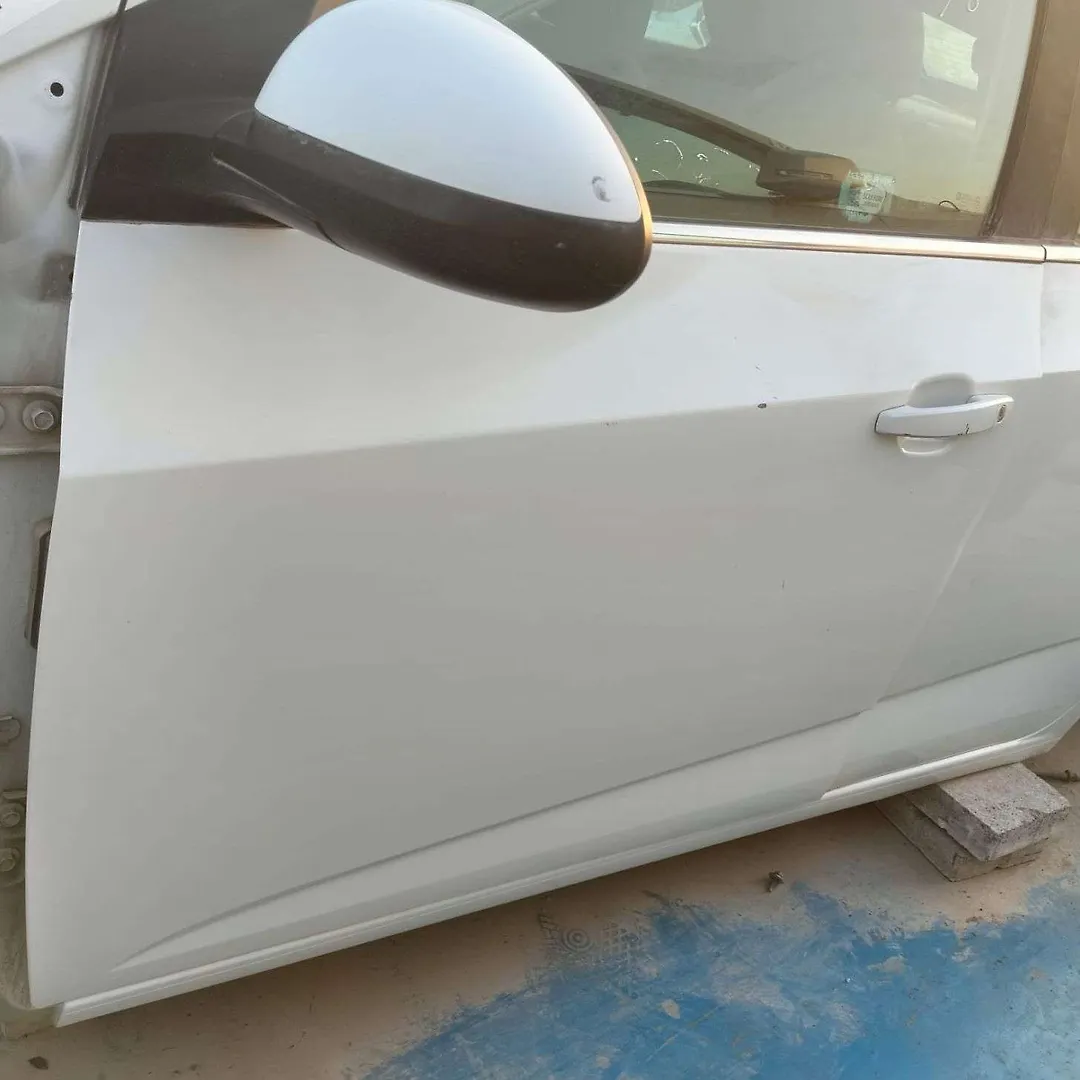 Door (LHF) - 2017 Chevrolet Sonic