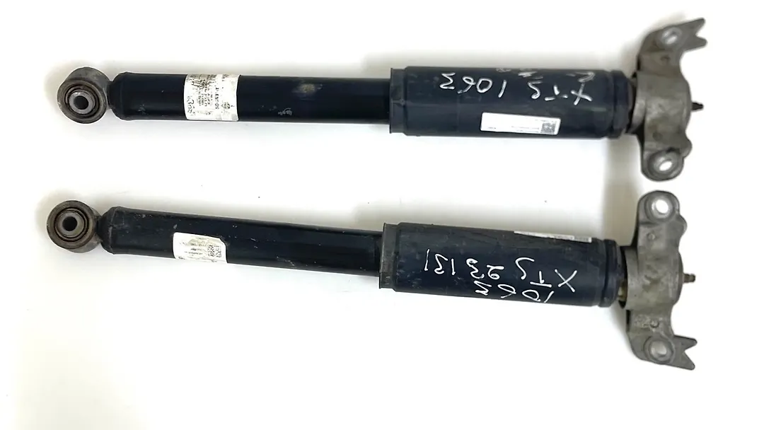 Shock Absorber (RHB) - 2019 Cadillac XTS Luxury FWD
