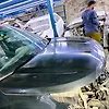 Hood/Bonnet - 2011 Ford Explorer