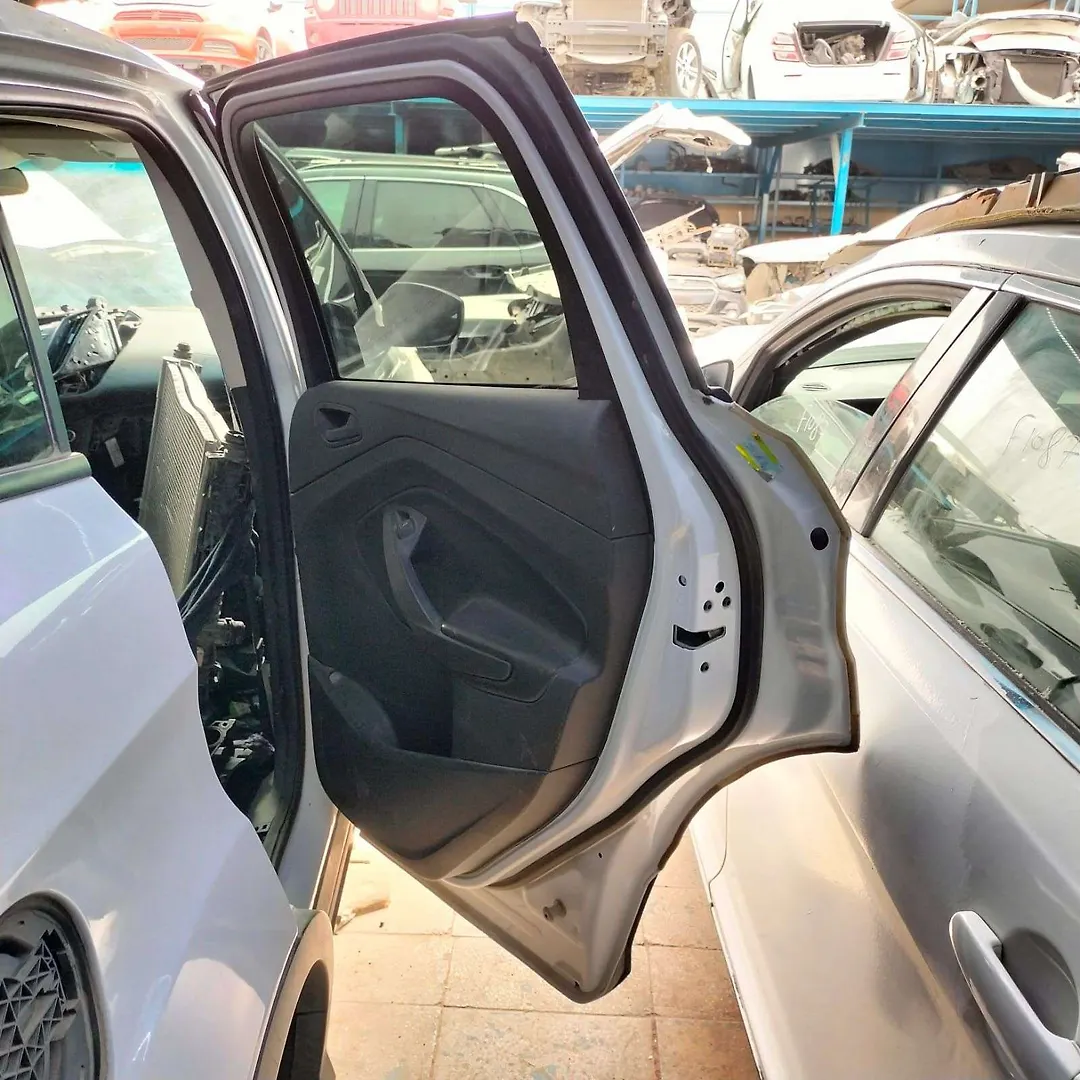 Door (RHB) - 2017 Ford Escape