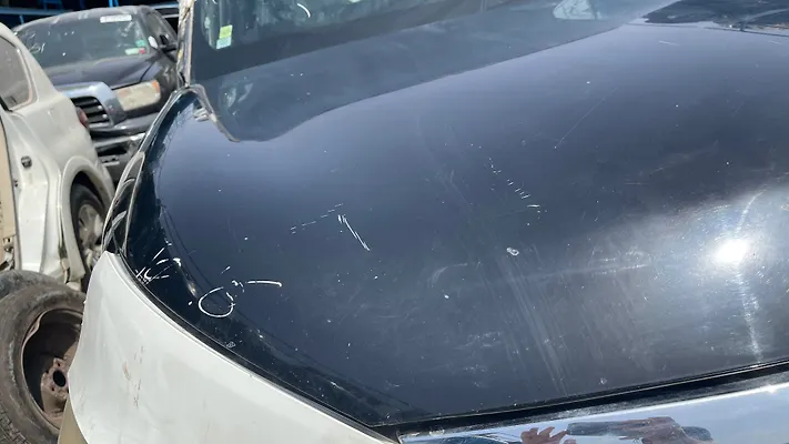 Hood/Bonnet - 2013 Infiniti QX56